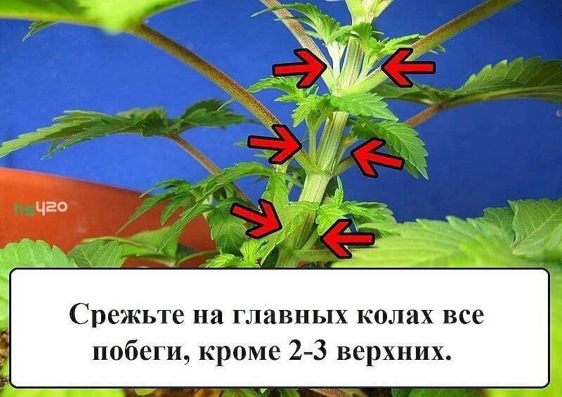 03.jpg