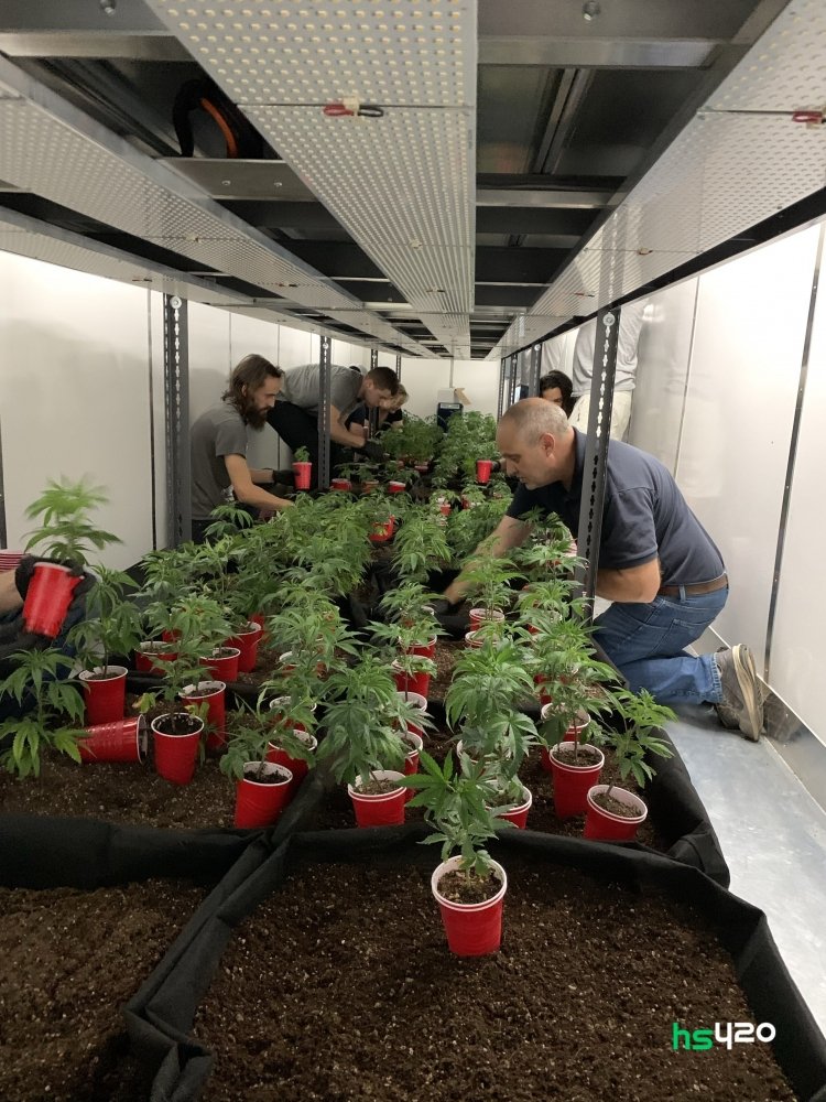 canada-cannabis-microfarm (1).jpg