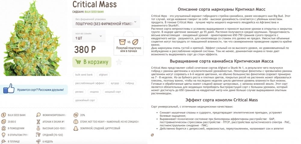 2012280283_CriticalMass.thumb.jpg.a961f5ade92cc1d84fe01dc52ea75105.jpg