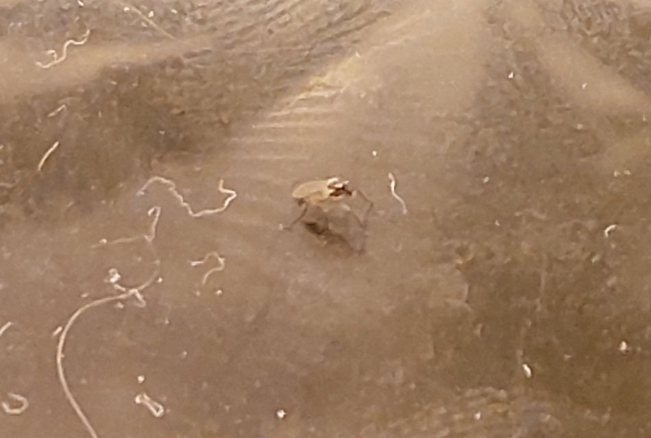 20210929_123415.jpg