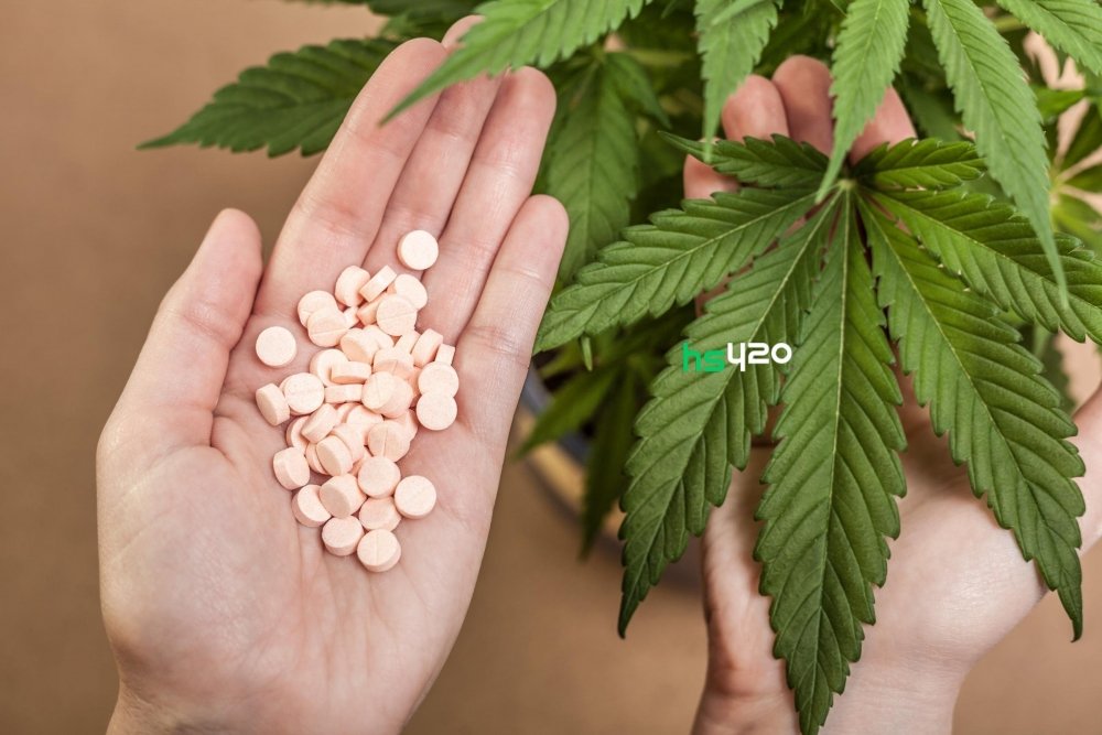 cannabis-vs-drugs (1).jpeg