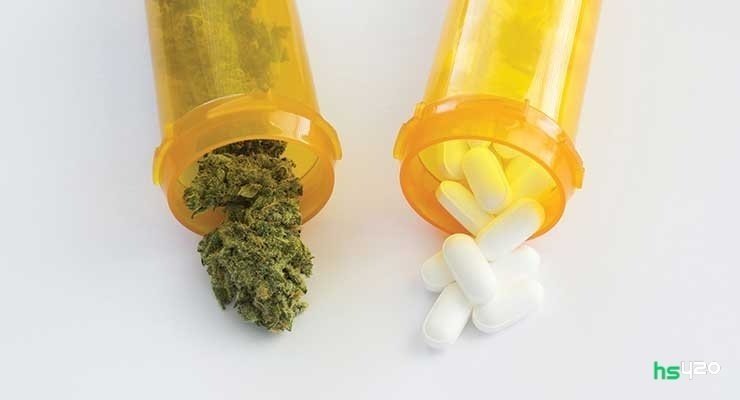 cannabis-drugs (1).jpg