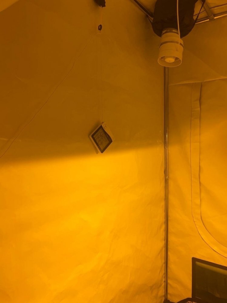 963F62B0-715B-4442-AE6D-D9CF8F059ED1.jpeg