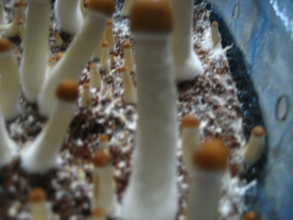 IMG_3872.JPG