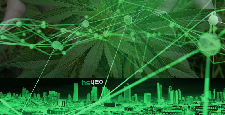 cannabis-data-analysis-2.png