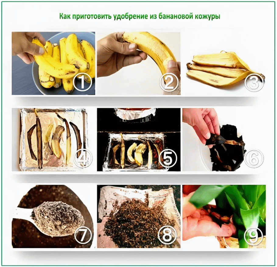 Банановая кожура как удобрение для рассады помидор. Удобрение из кожуры банана. Удобрение из банановых шкурок. Подкормка для цветов из банановой кожуры. Удобрение из банановой кожуры для комнатных растений.