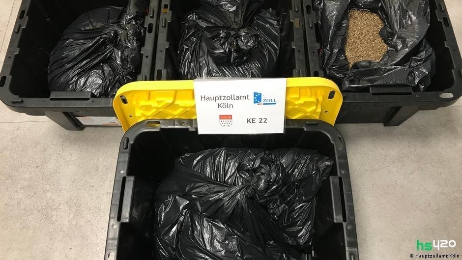 germany-cannabis-seeds-seized-2.jpg