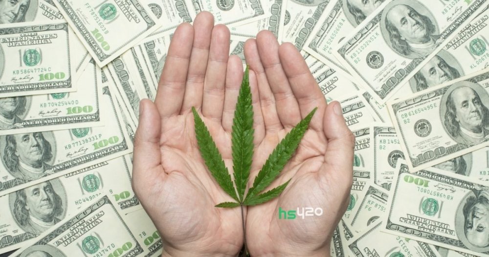 hemp-cigarettes-income (1).jpeg