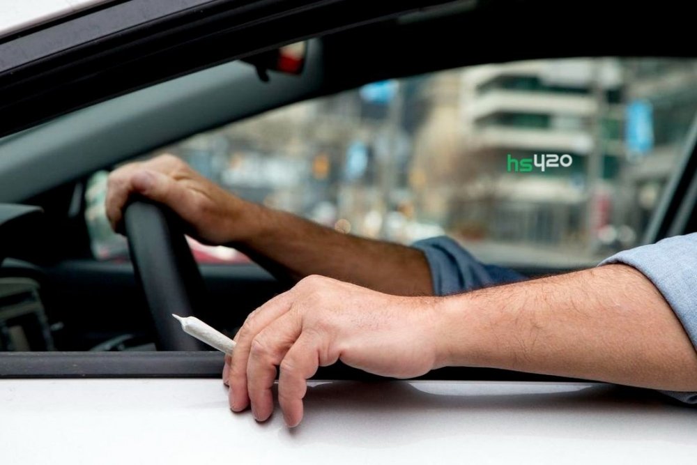 cannabis-driving (1) (1).jpg