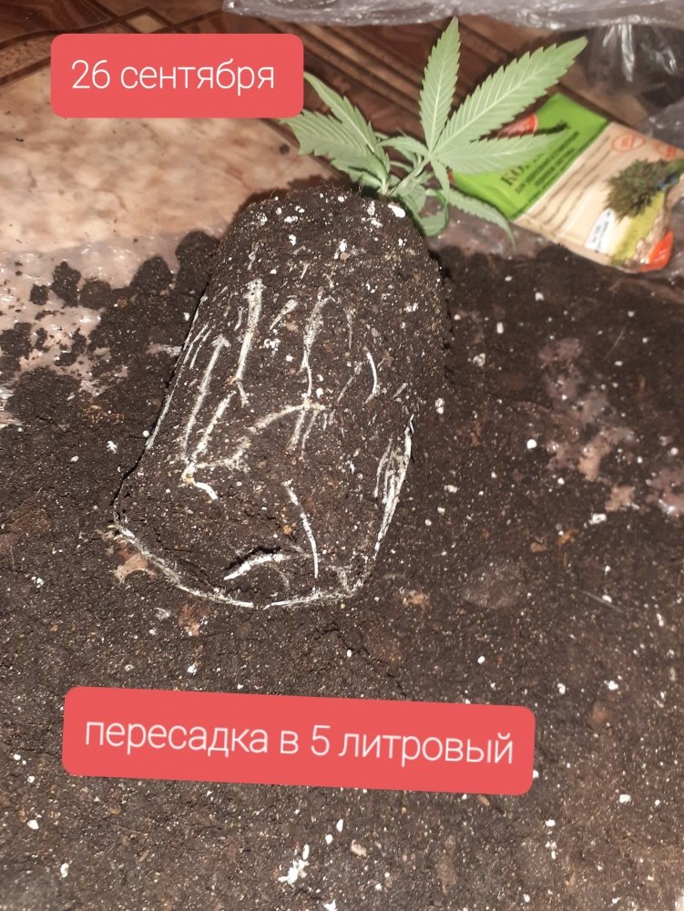 20210926_175840.jpg