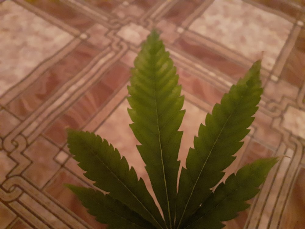 20211025_203509.jpg