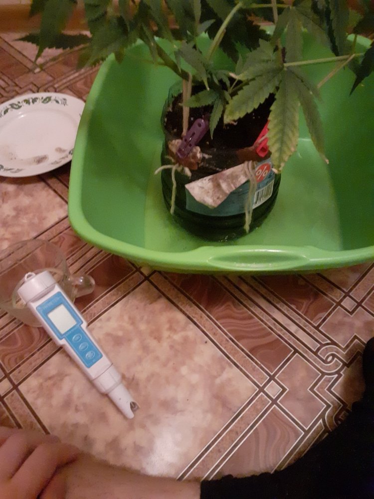 20211026_225657.jpg