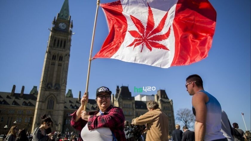 canada-cannabis-activists (1).jpg