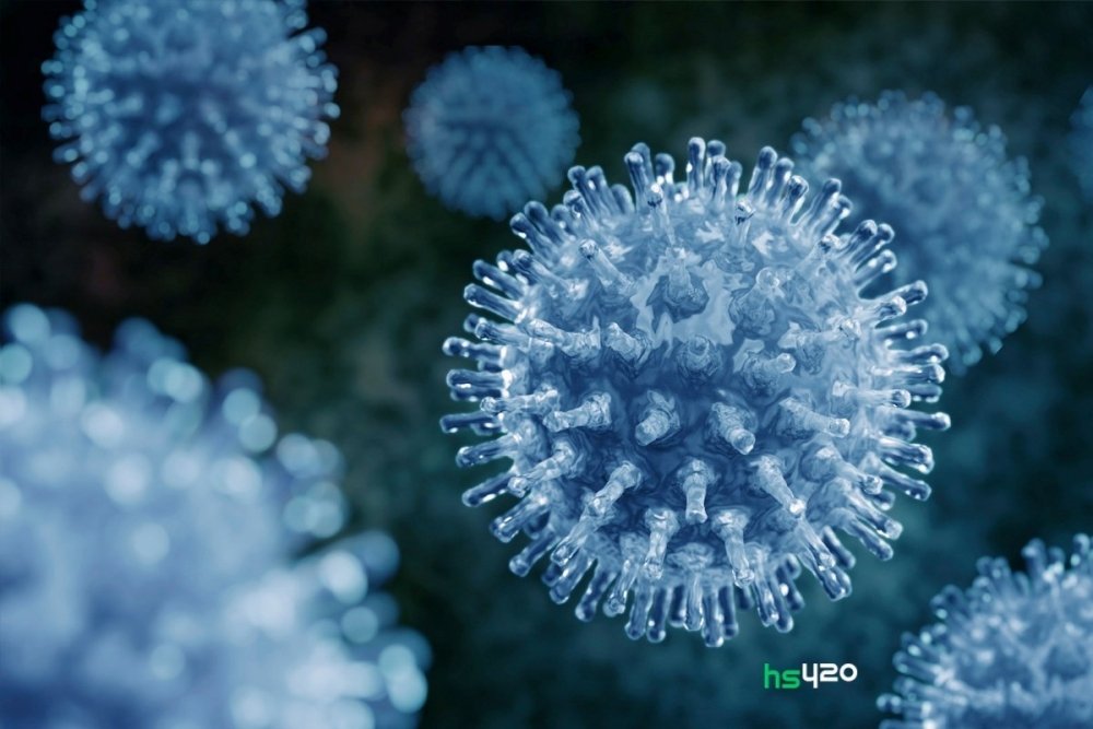 viroids (1).jpg