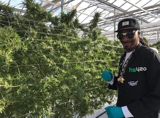 snoop-dogg-tweed-farms (1).jpg
