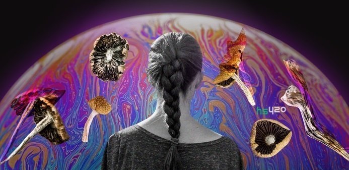 psilocybin-mushrooms-trip (1).jpg