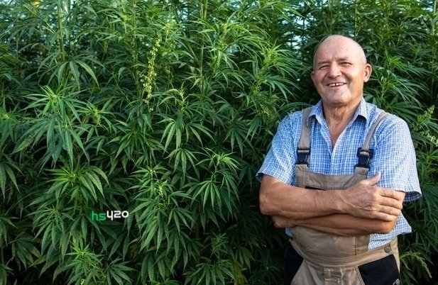 hemp-selfi (1).jpg