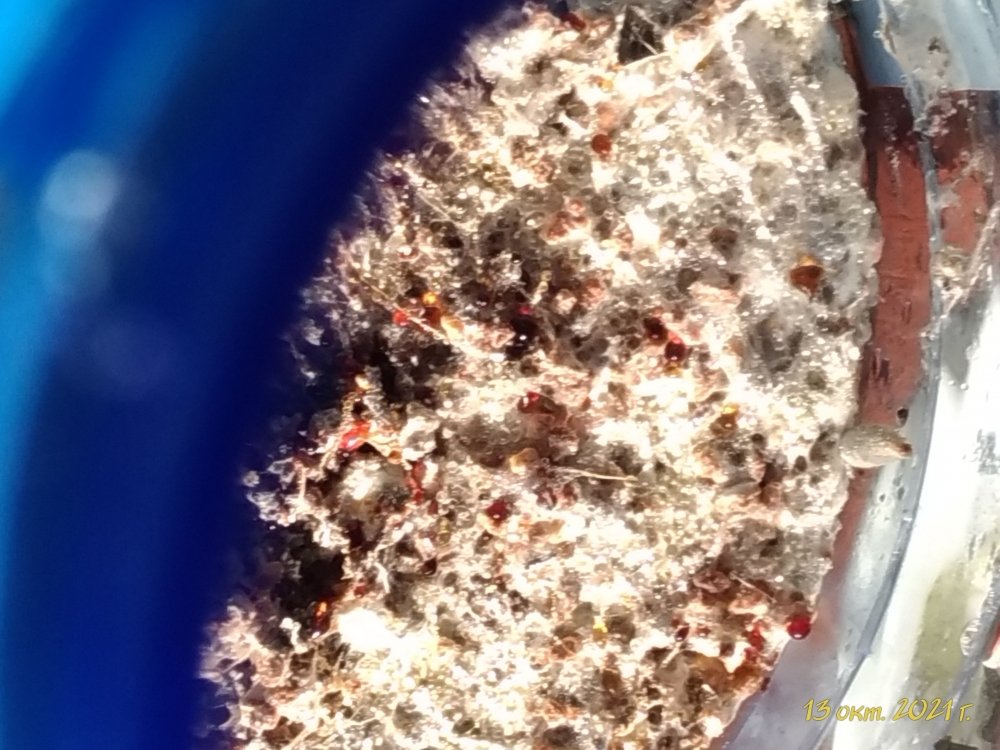 P_20211013_094312_vHDR_On.jpg