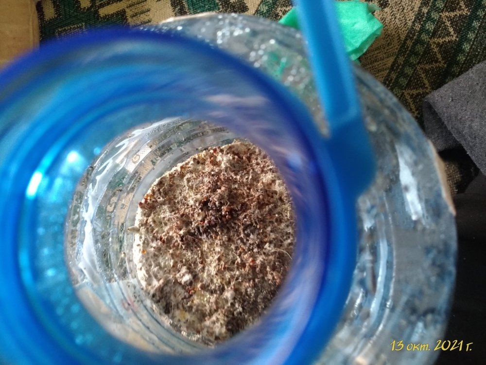 P_20211013_094401_vHDR_On.jpg