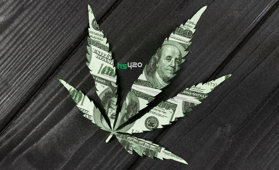 cannabis-sales-start(1).jpg