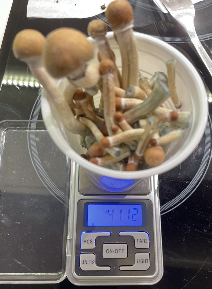 oct195.thumb.png.a8d6da89c99127530fefb1c5390bf990.png