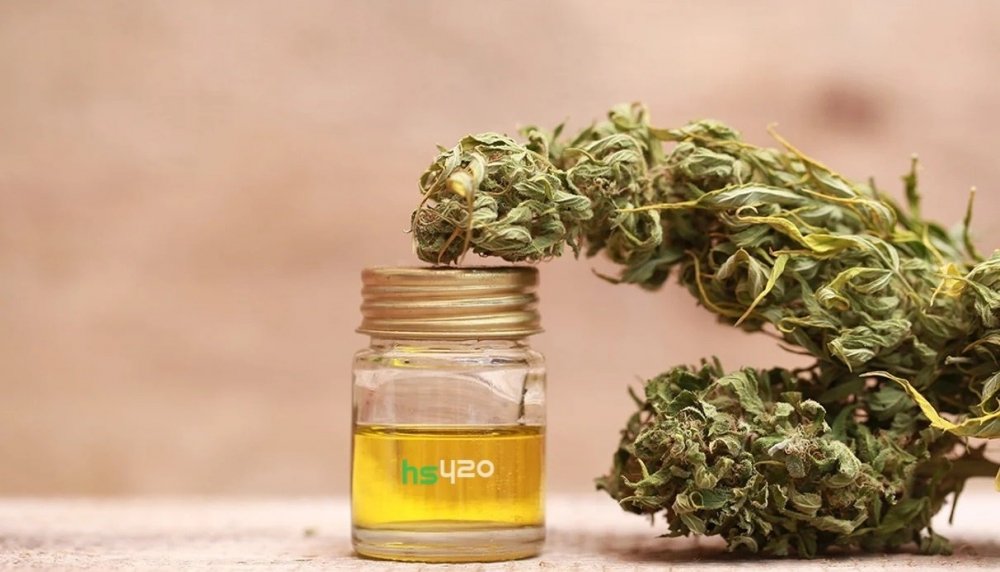 cannabis-oil (1).jpg