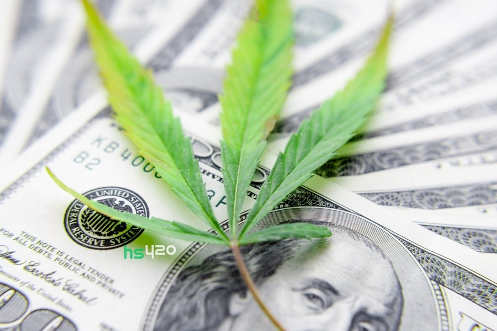 cannabis-money (1).jpeg
