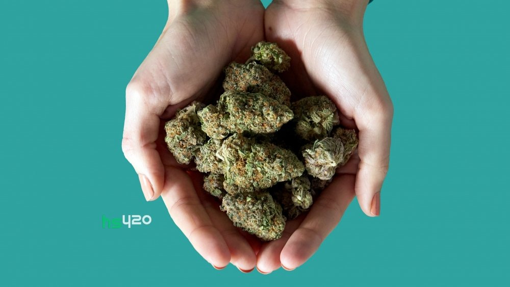 cannabis-sales (1).jpeg