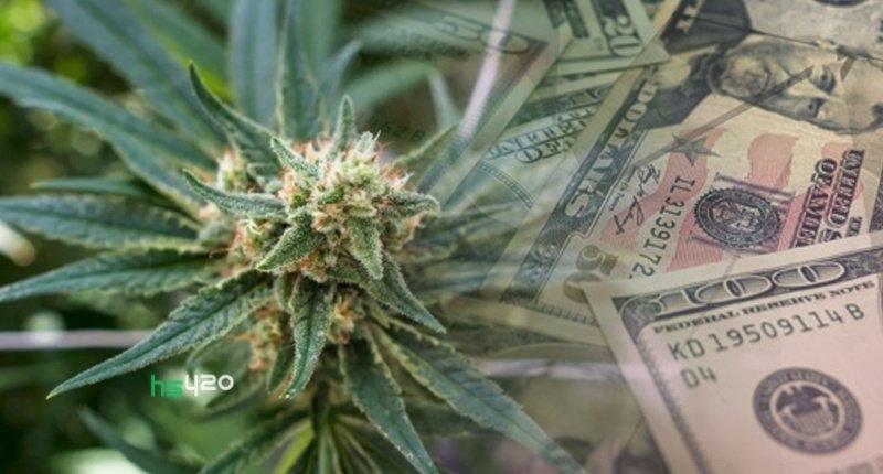 cannabis-money (2) (1).jpg