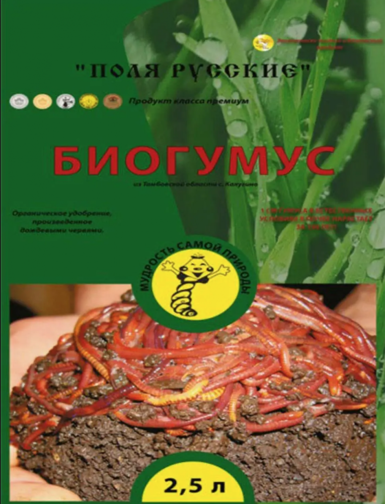 2.thumb.png.fba940a72d84ff169959f2aa38d3f49a.png