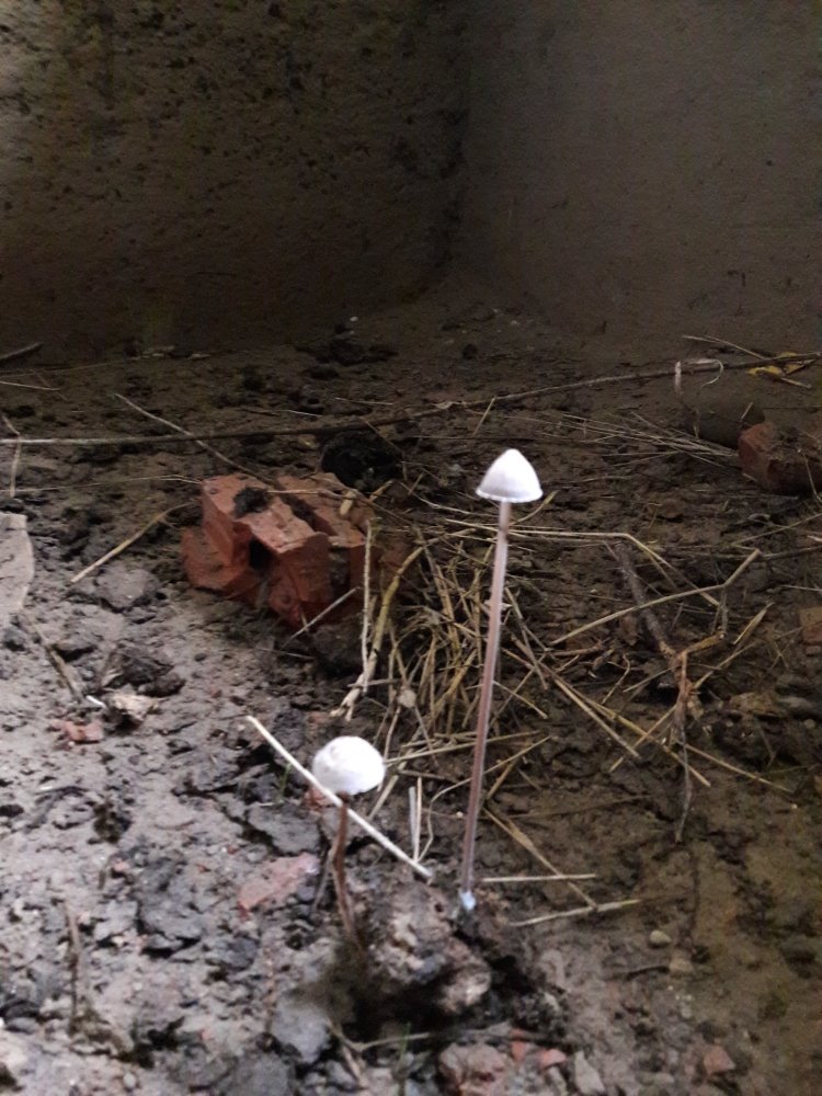 20210711_125503.jpg