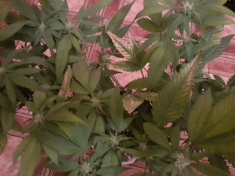 20211130_220335.jpg