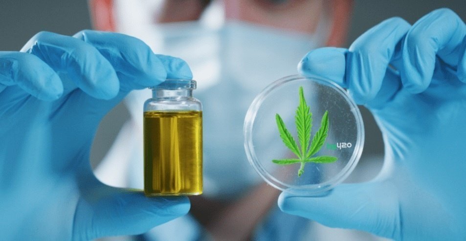 cannabis-microbiome (1).jpg