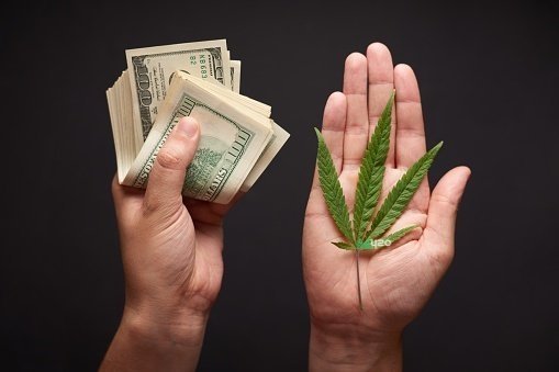 cannabis-fair-price (1).jpg