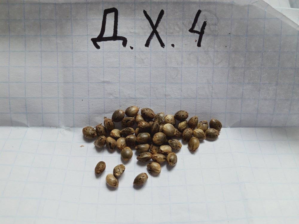 57 - копия.jpg