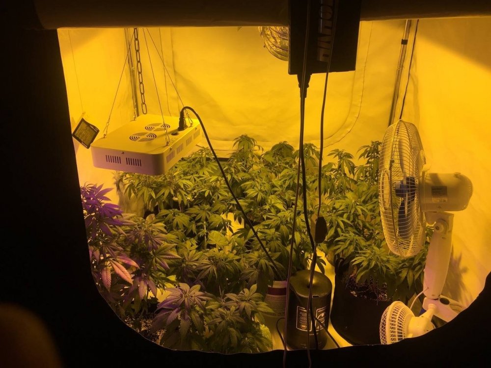 7C47DAA1-544A-432C-AD0B-21B54825AE15.jpeg