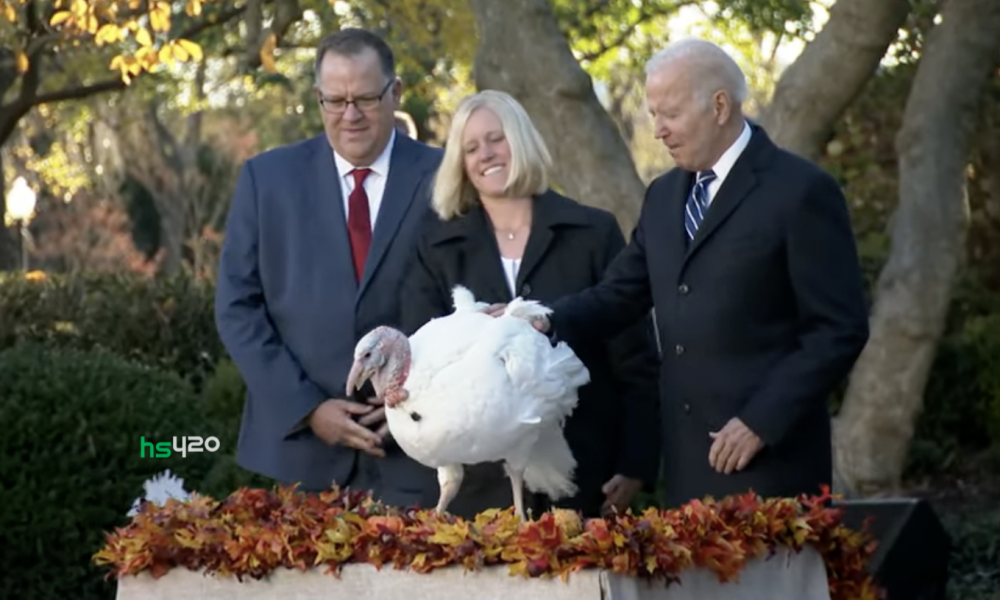 biden-pardon-turkey (1).png