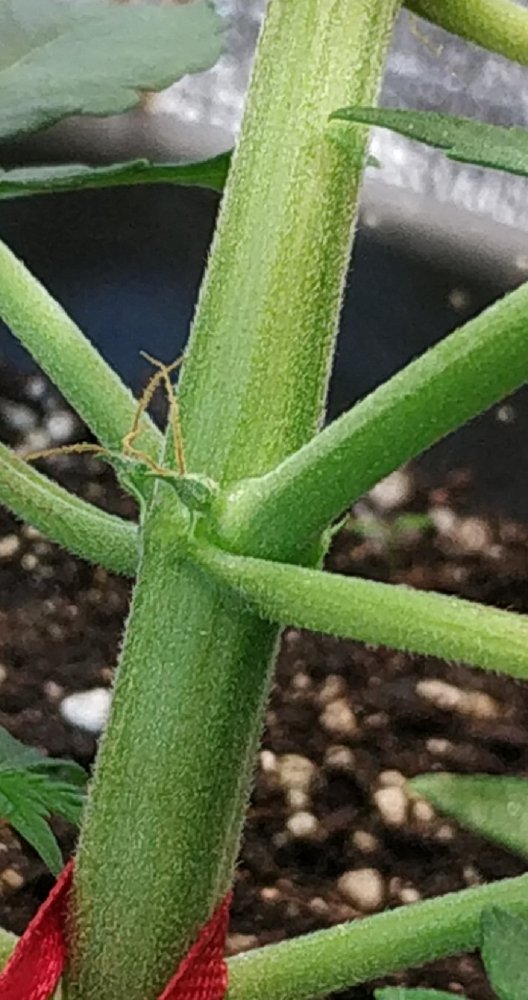 CM211105-163645011.jpg