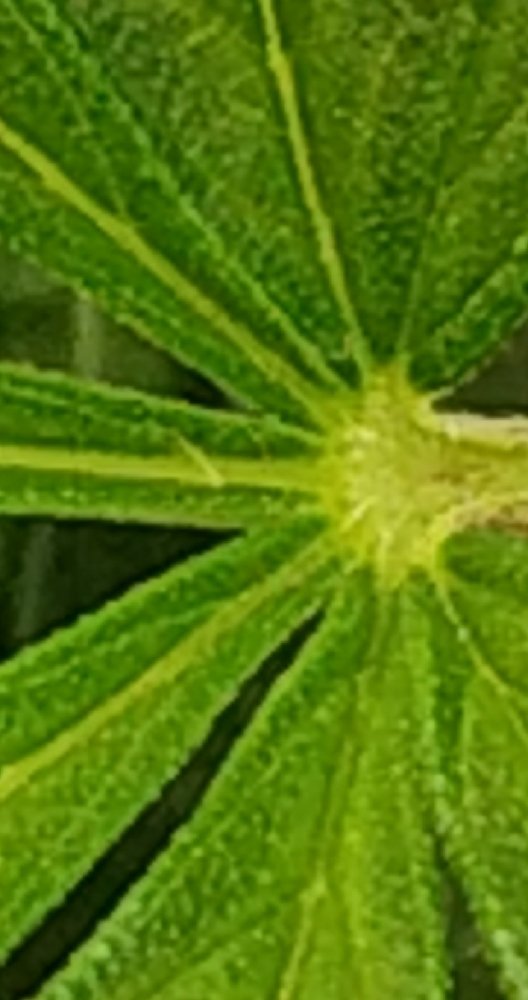 CM211105-164218032.thumb.jpg.e2ae7a3ef3c06327271608a960b8f719.jpg