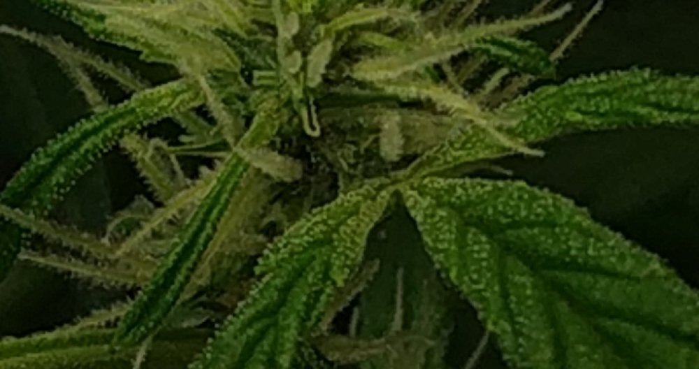 CM211112-151035012.jpg