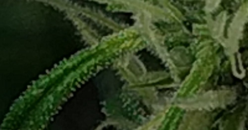 CM211112-151102014.jpg