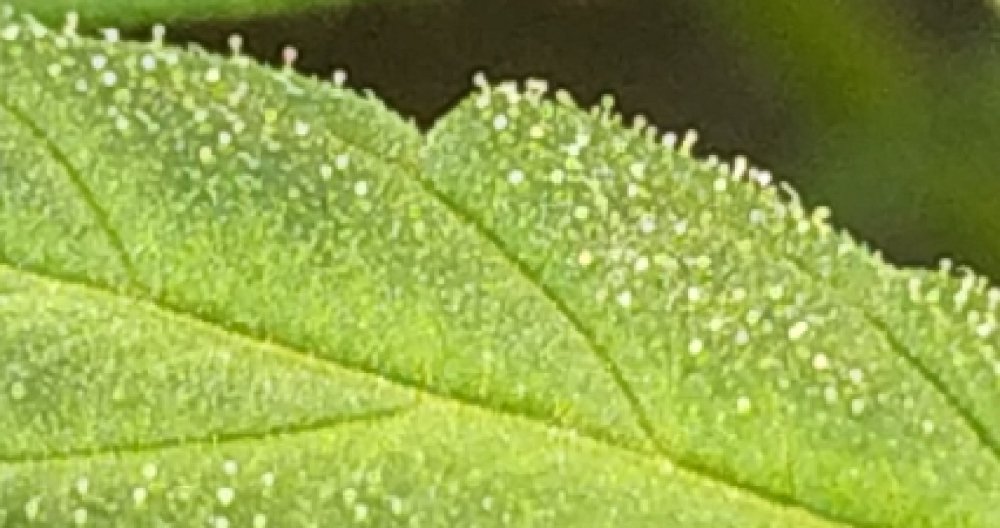 CM211112-154754077.jpg