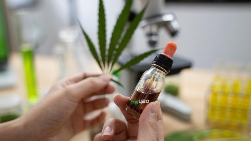 cannabis-cancer-treatment (1).jpg