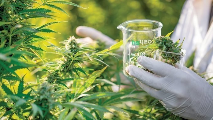 med-can (2).jpg