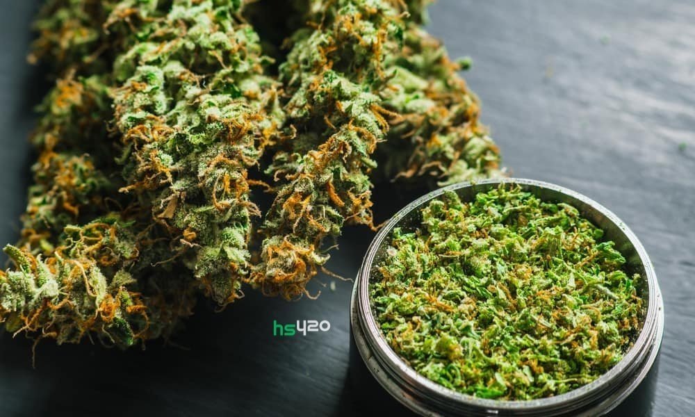 cannabis-grind (1).jpg