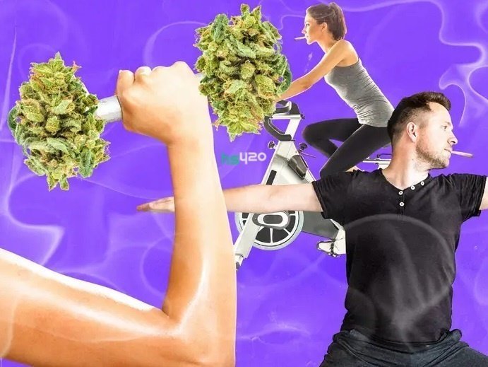 cannabis-exercise (1).jpg