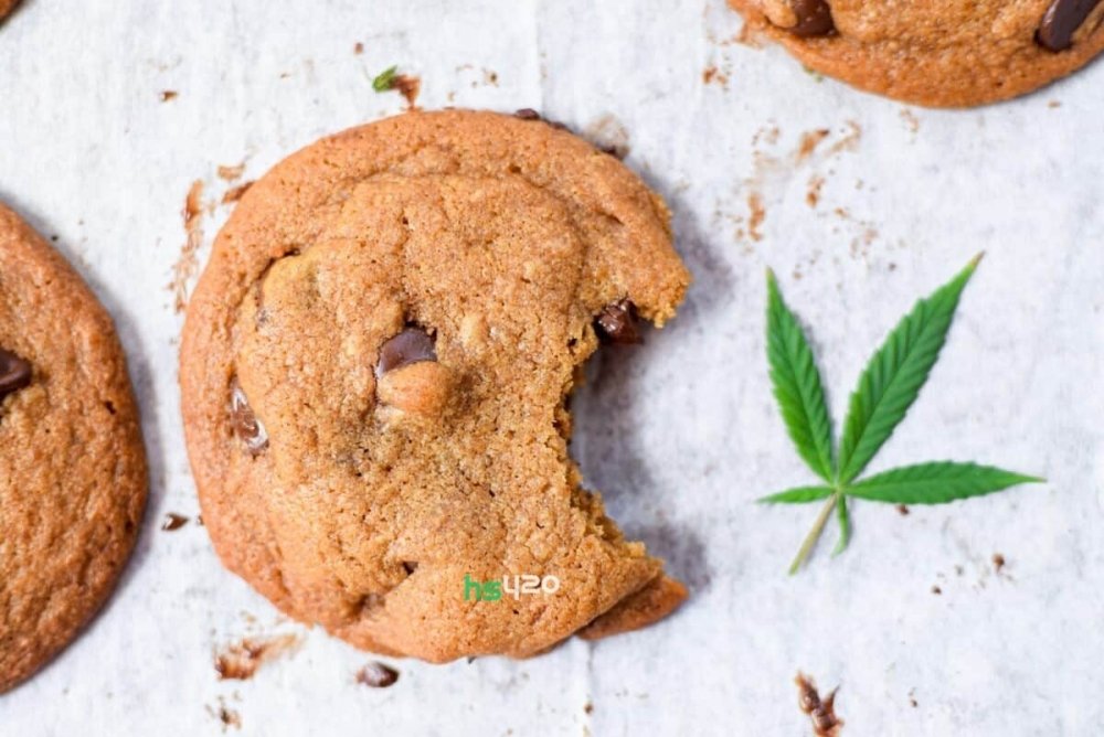 cannabis-cookies-eat (1).jpg