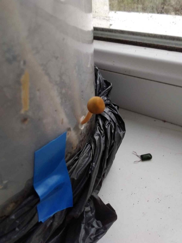 SSJ_1638974652841.thumb.jpg.783eb1b2659c0a7fa33252d8b5c71345.jpg