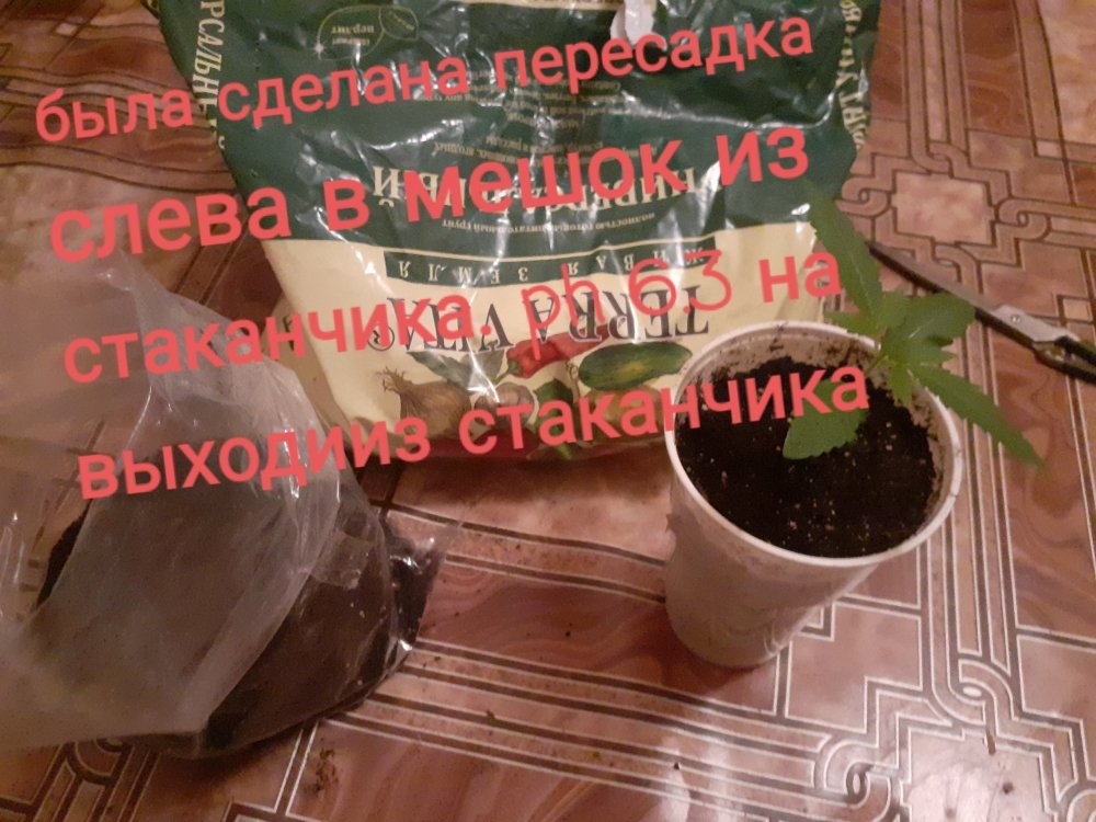20220109_180038.jpg
