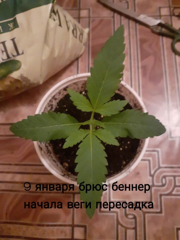 20220109_180048.jpg